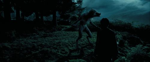 PdA-Potterish_6471.jpg