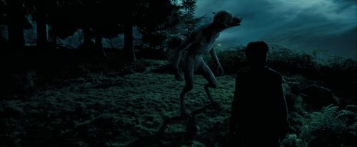 Click to view full size image
==============
PdA-Potterish_6472.jpg PdA-Potterish_6472.jpg