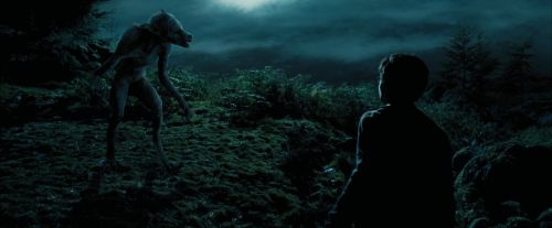 PdA-Potterish_6477.jpg