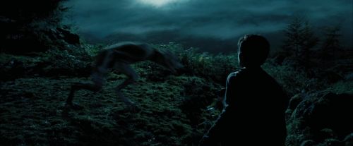 Click to view full size image
==============
PdA-Potterish_6478.jpg PdA-Potterish_6478.jpg