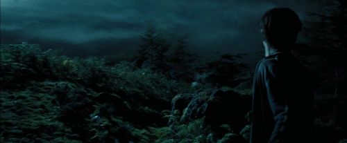 Click to view full size image
==============
PdA-Potterish_6481.jpg PdA-Potterish_6481.jpg