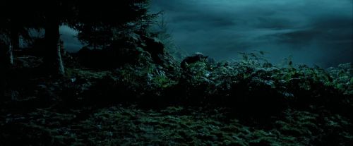 Click to view full size image
==============
PdA-Potterish_6487.jpg PdA-Potterish_6487.jpg