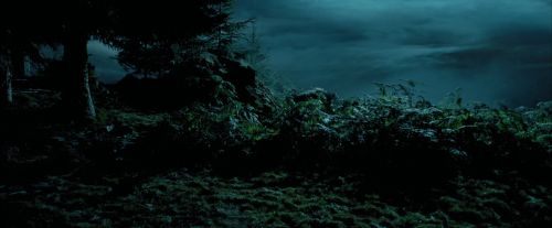 Click to view full size image
==============
PdA-Potterish_6488.jpg PdA-Potterish_6488.jpg