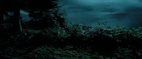 PdA-Potterish_6489.jpg