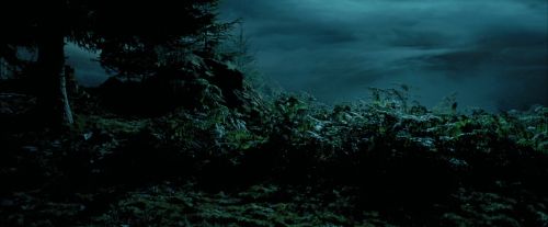 Click to view full size image
==============
PdA-Potterish_6490.jpg PdA-Potterish_6490.jpg