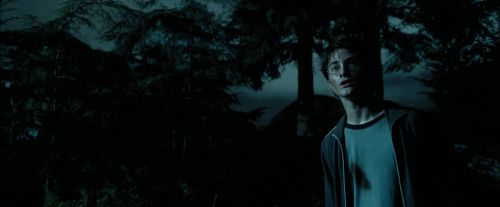 PdA-Potterish_6495.jpg