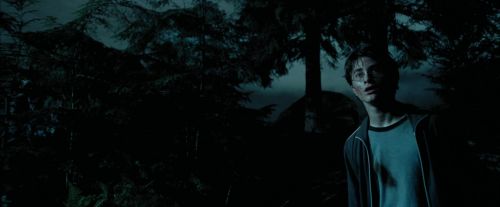 Click to view full size image
==============
PdA-Potterish_6496.jpg PdA-Potterish_6496.jpg