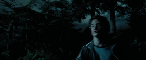 PdA-Potterish_6497.jpg