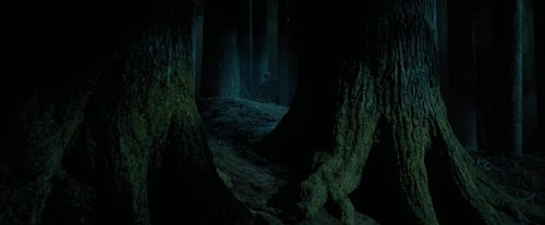 PdA-Potterish_6505.jpg