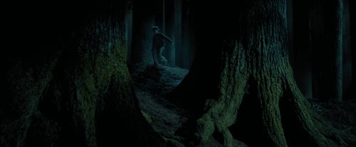 Click to view full size image
==============
PdA-Potterish_6507.jpg PdA-Potterish_6507.jpg