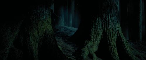 PdA-Potterish_6508.jpg