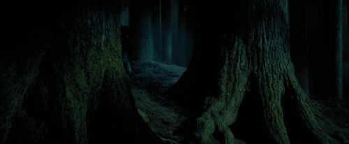 Click to view full size image
==============
PdA-Potterish_6509.jpg PdA-Potterish_6509.jpg