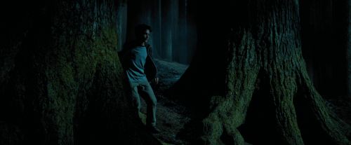 PdA-Potterish_6511.jpg