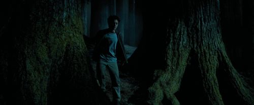 Click to view full size image
==============
PdA-Potterish_6512.jpg PdA-Potterish_6512.jpg