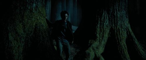PdA-Potterish_6513.jpg