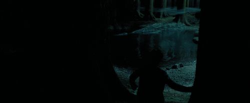 Click to view full size image
==============
PdA-Potterish_6514.jpg PdA-Potterish_6514.jpg