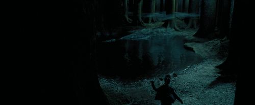 PdA-Potterish_6517.jpg