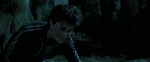 PdA-Potterish_6523.jpg