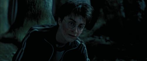 PdA-Potterish_6525.jpg