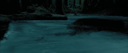 PdA-Potterish_6537.jpg