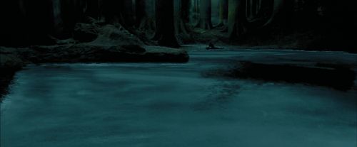 PdA-Potterish_6538.jpg