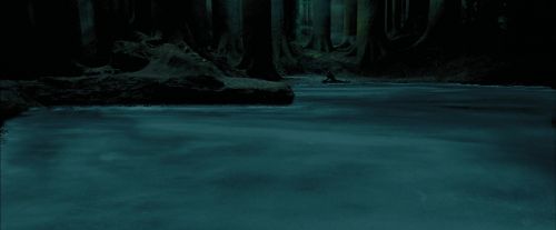 PdA-Potterish_6539.jpg