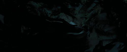 PdA-Potterish_6557.jpg