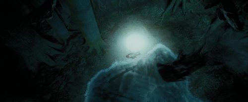 PdA-Potterish_6577.jpg