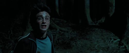 PdA-Potterish_6584.jpg