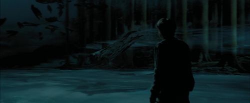 PdA-Potterish_6585.jpg