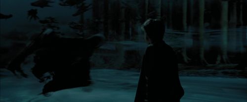 PdA-Potterish_6586.jpg