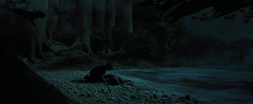 PdA-Potterish_6592.jpg