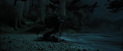 PdA-Potterish_6594.jpg