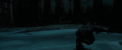 Click to view full size image
==============
PdA-Potterish_6600.jpg PdA-Potterish_6600.jpg