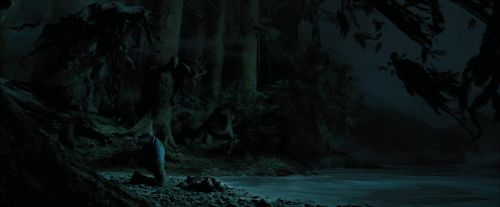 PdA-Potterish_6607.jpg