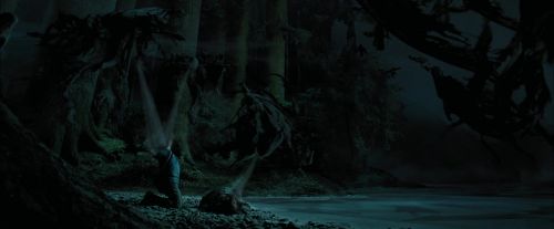 PdA-Potterish_6608.jpg