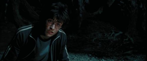 Click to view full size image
==============
PdA-Potterish_6634.jpg PdA-Potterish_6634.jpg