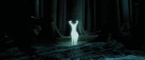 PdA-Potterish_6639.jpg