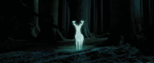 PdA-Potterish_6640.jpg