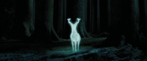 PdA-Potterish_6641.jpg