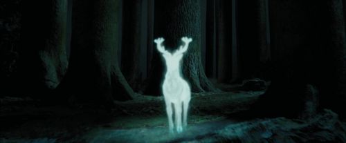 Click to view full size image
==============
PdA-Potterish_6642.jpg PdA-Potterish_6642.jpg