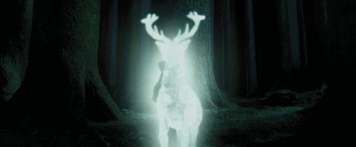 Click to view full size image
==============
PdA-Potterish_6644.jpg PdA-Potterish_6644.jpg