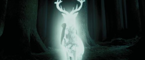 Click to view full size image
==============
PdA-Potterish_6645.jpg PdA-Potterish_6645.jpg