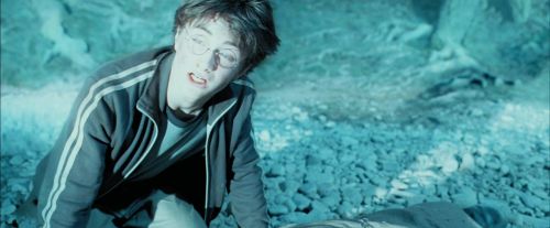 Click to view full size image
==============
PdA-Potterish_6667.jpg PdA-Potterish_6667.jpg