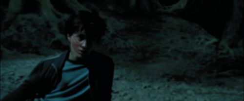 PdA-Potterish_6693.jpg