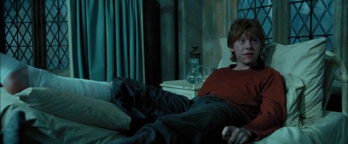 PdA-Potterish_6751.jpg