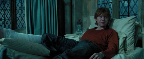 PdA-Potterish_6752.jpg