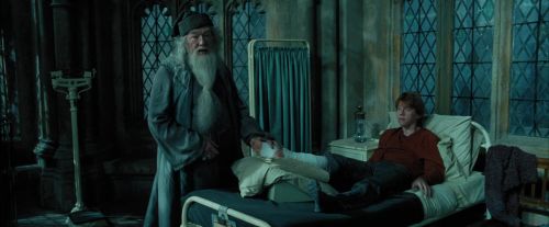 PdA-Potterish_6772.jpg