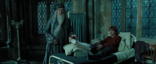 PdA-Potterish_6773.jpg
