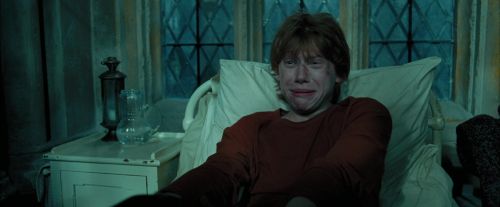 PdA-Potterish_6774.jpg
